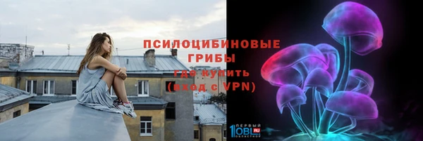 гашик Наволоки