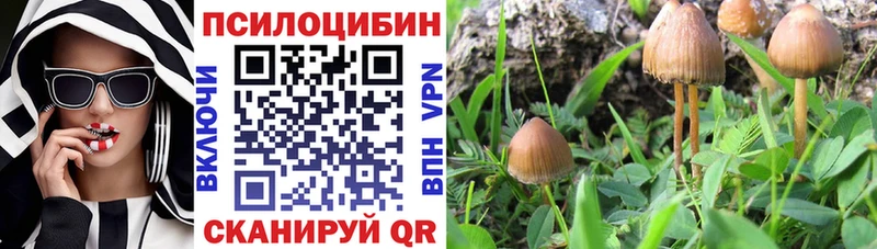 что такое   Орск  Галлюциногенные грибы GOLDEN TEACHER 